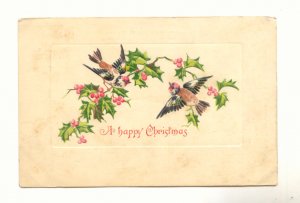 TWO BIRDS ON HOLLY BRANCH VINTAGE 1907 POSTCARD   68