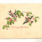 TWO BIRDS ON HOLLY BRANCH VINTAGE 1907 POSTCARD   68