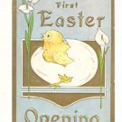 FIRST EASTER OPENING CHICK EGG CALLA LILY 1911 POSTCARD  75
