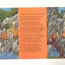 LEGEND OF THE SPANISH MOSS, VINTAGE LINEN POSTCARD   79