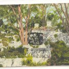 THE FALLS AT THE RUSTIC BRIDGE, STONE BRIDGE POSTCARD   82