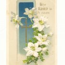 THE LORD IS RISEN, LILY, VINTAGE EASTER POSTCARD   114