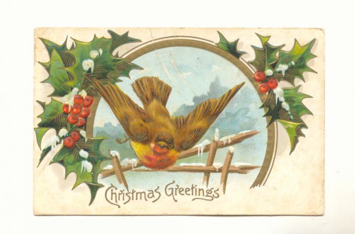 LARGE BIRD, HOLLY, 1908 VINTAGE CHRISTMAS POSTCARD 123