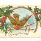 LARGE BIRD, HOLLY, 1908 VINTAGE CHRISTMAS POSTCARD   123