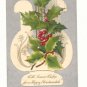 HAPPY CHRISTMASTIDE, VINTAGE 1905 POSTCARD, HOLLY, HARP   131
