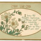 DON'T YOU CARE, FLOWERS, VERSE, 1915 BIRTHDAY POSTCARD   #156