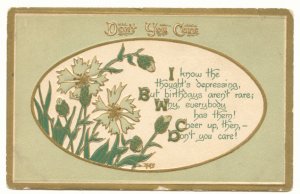 DON'T YOU CARE, FLOWERS, VERSE, 1915 BIRTHDAY POSTCARD   #156