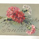 RICHES FOR MY SWEETHEART, CARNATIONS, GLITTER, POSTCARD  #220