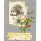 CHRISTMAS-TIDE, WINTER SCENE, HOLLY, SILVER 1911 POSTCARD #235
