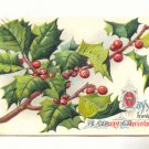MAY YOU HAVE A MERRY CHRISTMAS, LARGE HOLLY BRANCH  POSTCARD #264