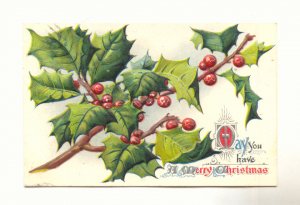 MAY YOU HAVE A MERRY CHRISTMAS, LARGE HOLLY BRANCH  POSTCARD #264