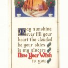 NEW YEARS WISH, MAY SUNSHINE EVER FILL YOUR HEART POSTCARD #268