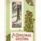 CHRISTMAS GREETING WINTER SCENE, PHEASANT, BELLS HOLLY   POSTCARD #277