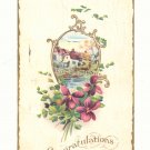CONGRATULATIONS, WATERFRONT ESTATE, VIOLETS 1911  POSTCARD #282