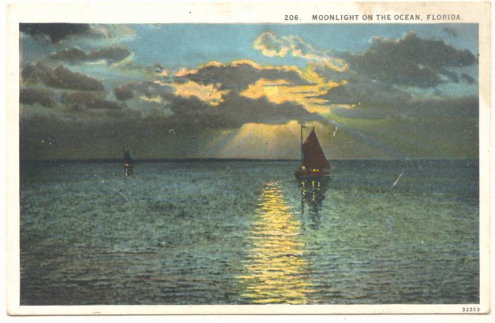 MOONLIGHT ON THE OCEAN, FLORIDA, SAILBOAT POSTCARD #316