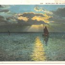 MOONLIGHT ON THE OCEAN, FLORIDA, SAILBOAT POSTCARD   #316