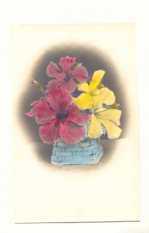 TINTED REAL PHOTO POSTCARD HIBISCUS IN A BASKET VINTAGE   #340