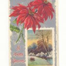 1911 POINSETTIA SILVER WINTER SCENE CHRISTMAS POSTCARD    #343