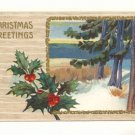 CHRISTMAS GREETING HOLLY MARSH PINE WATER SCENE 1911   VINTAGE POSTCARD #346