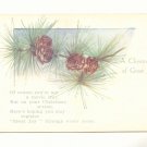 BRANCH OF PINE CONES CHRISTMAS JOY UNUSED VINTAGE   POSTCARD #356