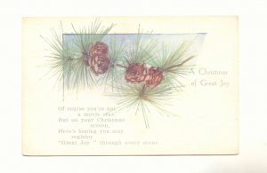 BRANCH OF PINE CONES CHRISTMAS JOY UNUSED VINTAGE   POSTCARD #356