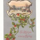 WISH YOU A MERRY CHRISTMAS HOLLY WINTER SCENE POSTCARD    #357