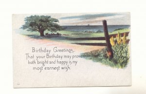 BIRTHDAY GREETING COUNTRYSIDE VIEW VINTAGE POSTCARD    #363