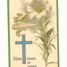 THE LORD IS RISEN INDEED,  ERNEST NISTER VINTAGE POSTCARDS  #365