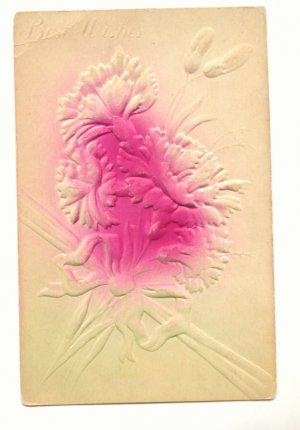 UNUSED HEAVILY EMBOSSED CARNATION BUDS VINTAGE POSTCARD    #366