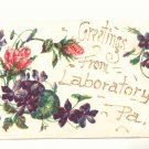 GREETINGS FROM LABORATORY, PENNSYLVANIA POSTCARD ROSES   #374