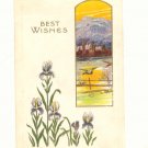 BEST WISHES, IRIS, DUCKS FLYING, MOUNTAIN VIEW POSTCARD    #401