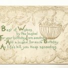 BEST OF WISHES BY THE BUSHEL, Basket OF WINGS 1911   Postcard #427