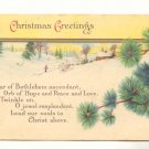 CHRISTMAS GREETING WINTER SCENE FIR BOUGHS Postcard    #445