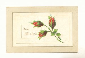 BEST WISHES, MOSS ROSE BUDS, VINTAGE 1912 Vintage Postcard #522