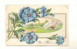Kind Greetings, Blue Flowers, Country Scene, Vintage 1911 Postcard #544