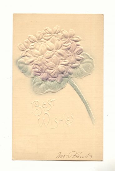 Heavily Embossed, Bouquet of Violets Vintage 1907 Postcard #553