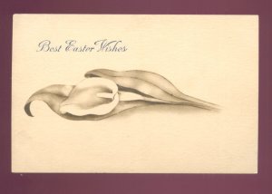 BEST EASTER WISHES LARGE CALLA LILLY VINTAGE POSTCARD #558