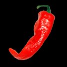 Organic Pepper Long Thin Cayenne 25 Count