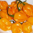 Organic Yellow Habanero Pepper 25 Count