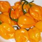 Organic Yellow Habanero Pepper 25 Count