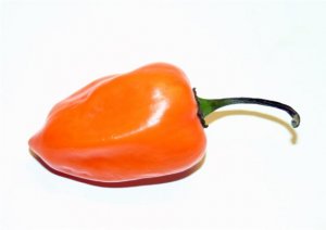 Organic Orange Habanero Pepper 25 Count