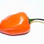 Organic Orange Habanero Pepper 25 Count