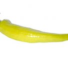 Organic Yellow Anaheim Pepper 25 Count
