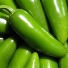 Organic Jalapeno Pepper - 25 Count