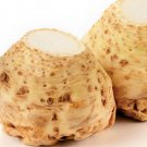 Organic Ibis Celeriac Seeds 25 Count
