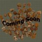 Organic Mesquite Smoke Onion Seed 25 Count