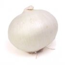 Organic White Sweet Spanish Onion Seeds 25 Count