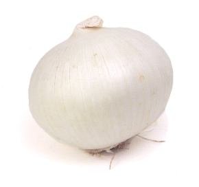 Organic White Sweet Spanish Onion Seeds 25 Count
