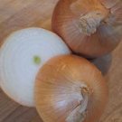 Organic Yellow Sweet Spanish Onion Seeds 25 Count