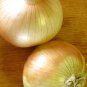 Organic Walla Walla Onion Seeds 25 Count